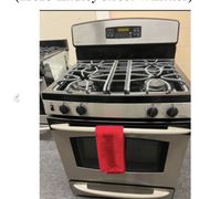 coelhos-appliances