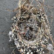 dryer-vents-express