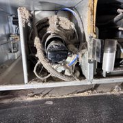 fb--appliance-repair--maintenance
