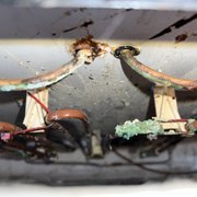 fisher--paykel-repair